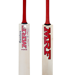 best poplar willow bat